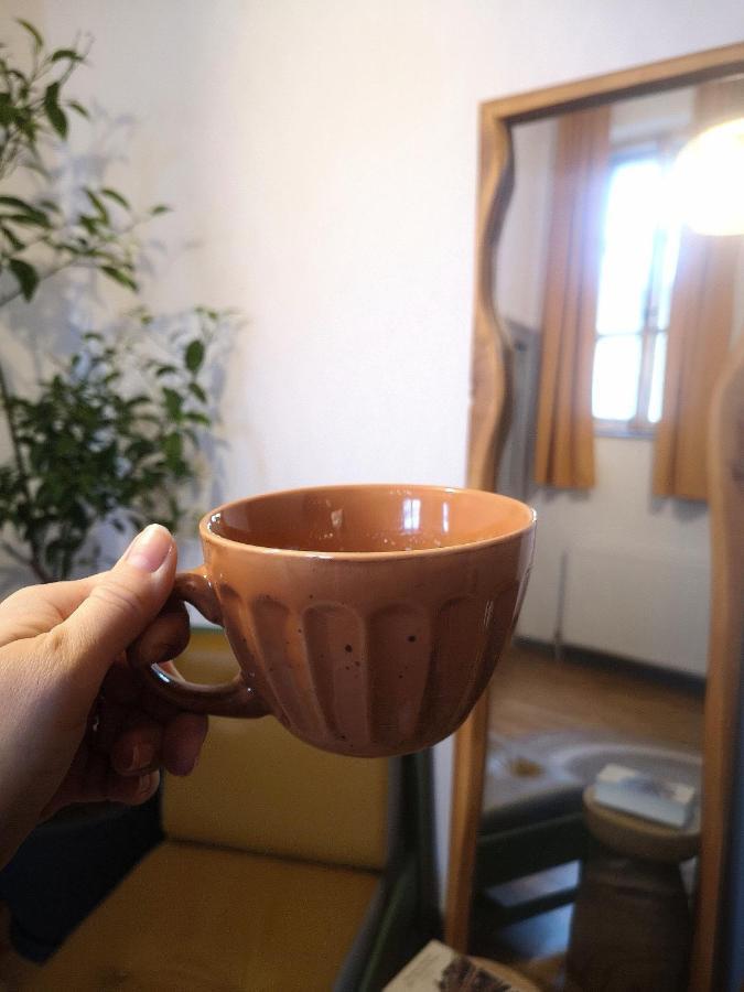 Codicei Studio Brasov Bagian luar foto